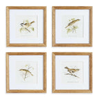 Vintage Songbird Prints Wall Art (Set of 4) Vintage Shopper