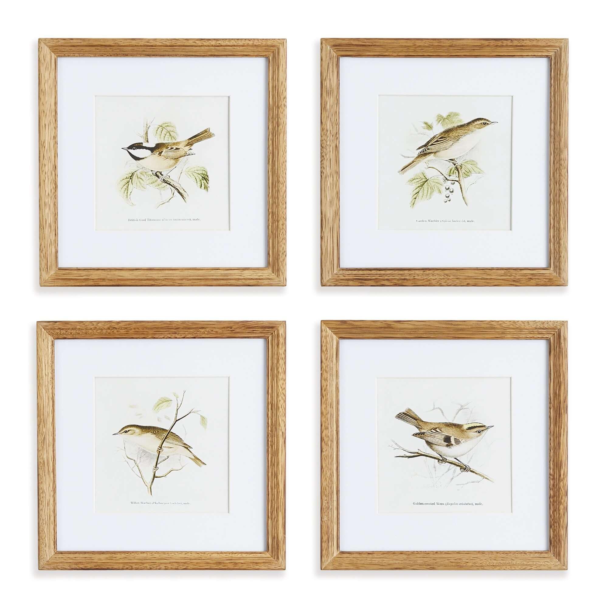 Vintage Songbird Prints Wall Art (Set of 4) Vintage Shopper