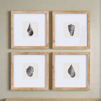Vintage Coastal Seashell Wall Art Set (set of 4) - House Of Avana