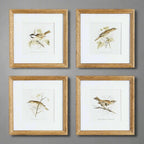 Vintage Songbird Prints Wall Art (set of 4) - House Of Avana