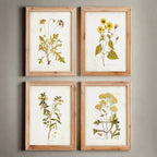 Vintage Wildflower Botanical Prints Set in Rustic Wood Frames (Set of 4) Vintage Shopper
