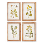 Vintage Wildflower Botanical Prints Set in Rustic Wood Frames (Set of 4) Vintage Shopper