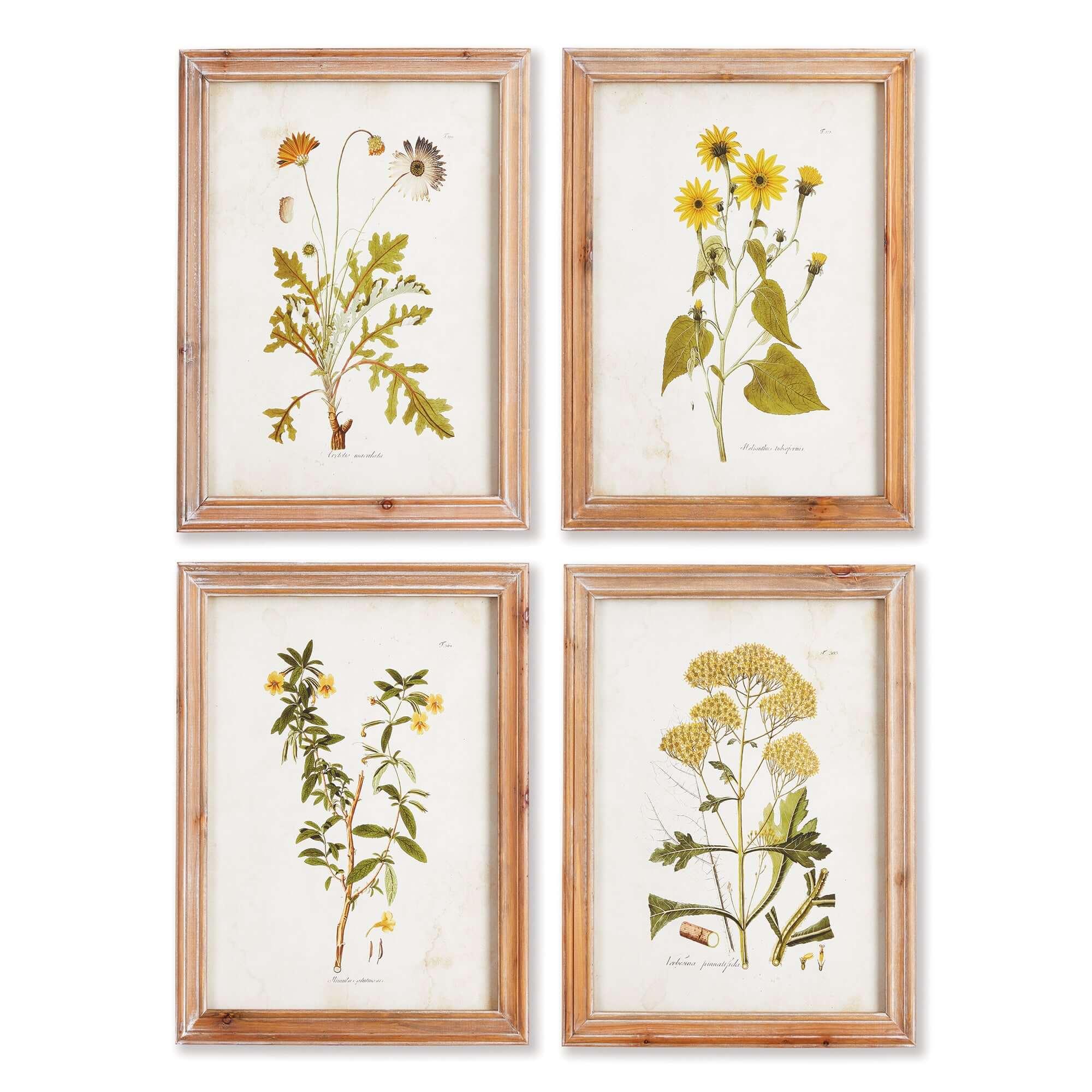 Vintage Wildflower Botanical Prints Set in Rustic Wood Frames (Set of 4) Vintage Shopper