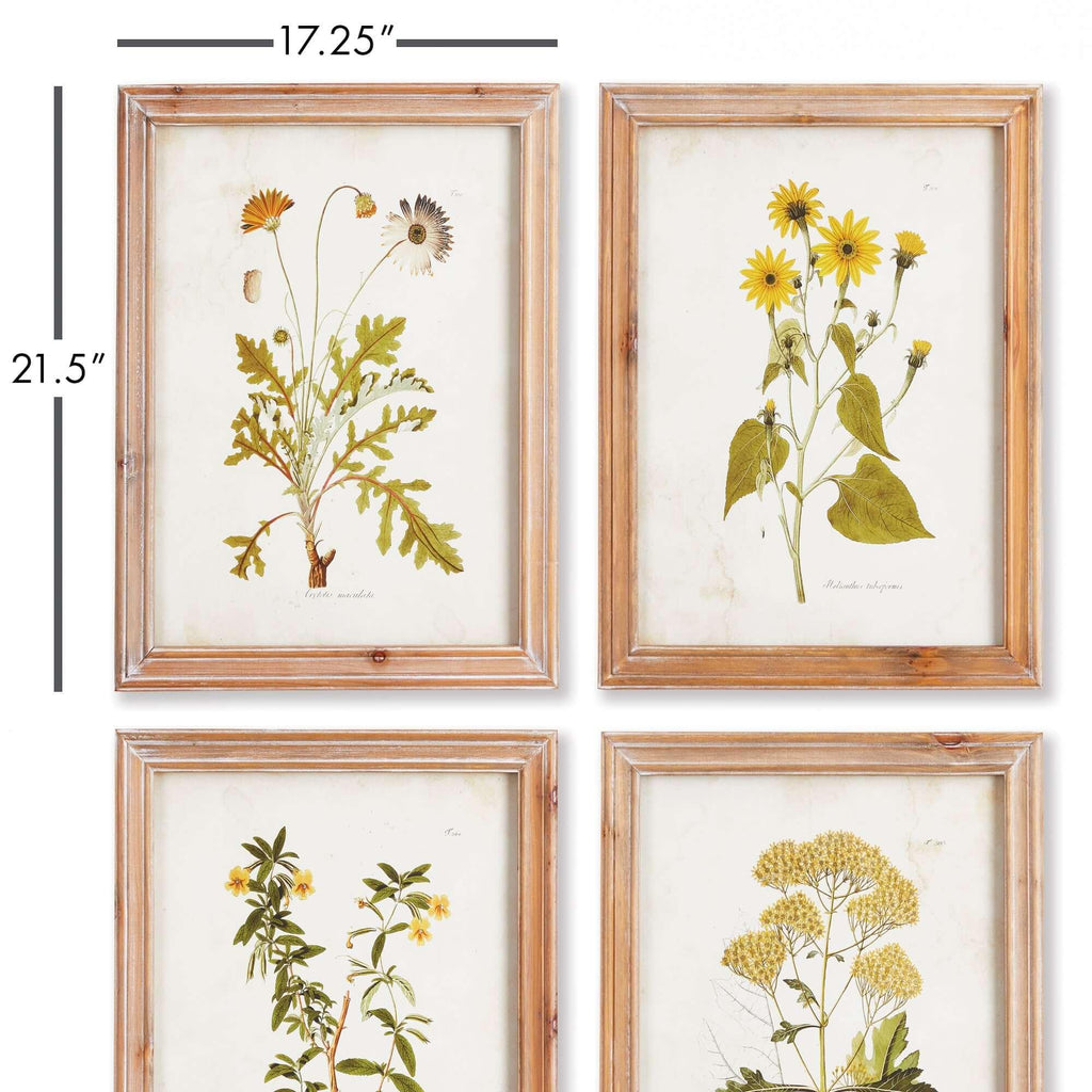 Vintage Wildflower Botanical Prints Set in Rustic Wood Frames (Set of 4) Vintage Shopper