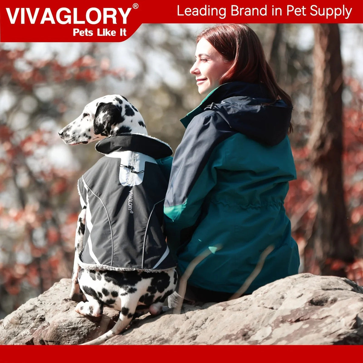 VIVAGLORY Dog Coat For Winter Dog Jacket With Harness Hole, Fleece Dog Vest For Cold Weather Dog Fleece Coat With , Warm Dog Parka Puppy Coat For Snow Puppy Jacket With Zipper, Reflective Dog Coat Dog Jacket For Hunting House Of Avana [[SKU:HOA-CRB-400]]