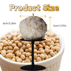 Candle - Scented White Soy Wax 8oz, angled view - House Of Avana