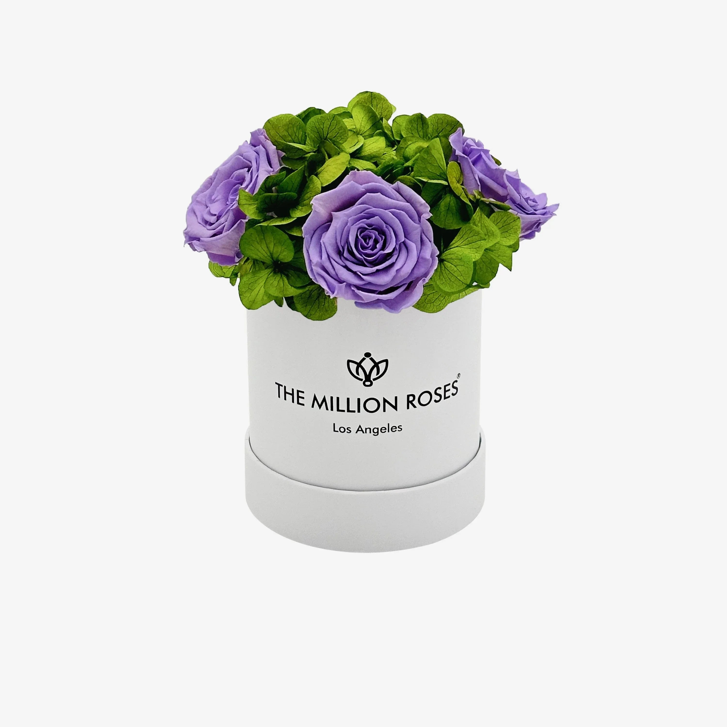 White wooden garden box with lavender roses, elegant outdoor décor - House of Avana