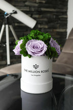 White wooden garden box with lavender roses, elegant outdoor décor - House of Avana