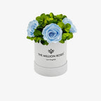 White garden box with light blue roses, ceramic planter - House of Avana