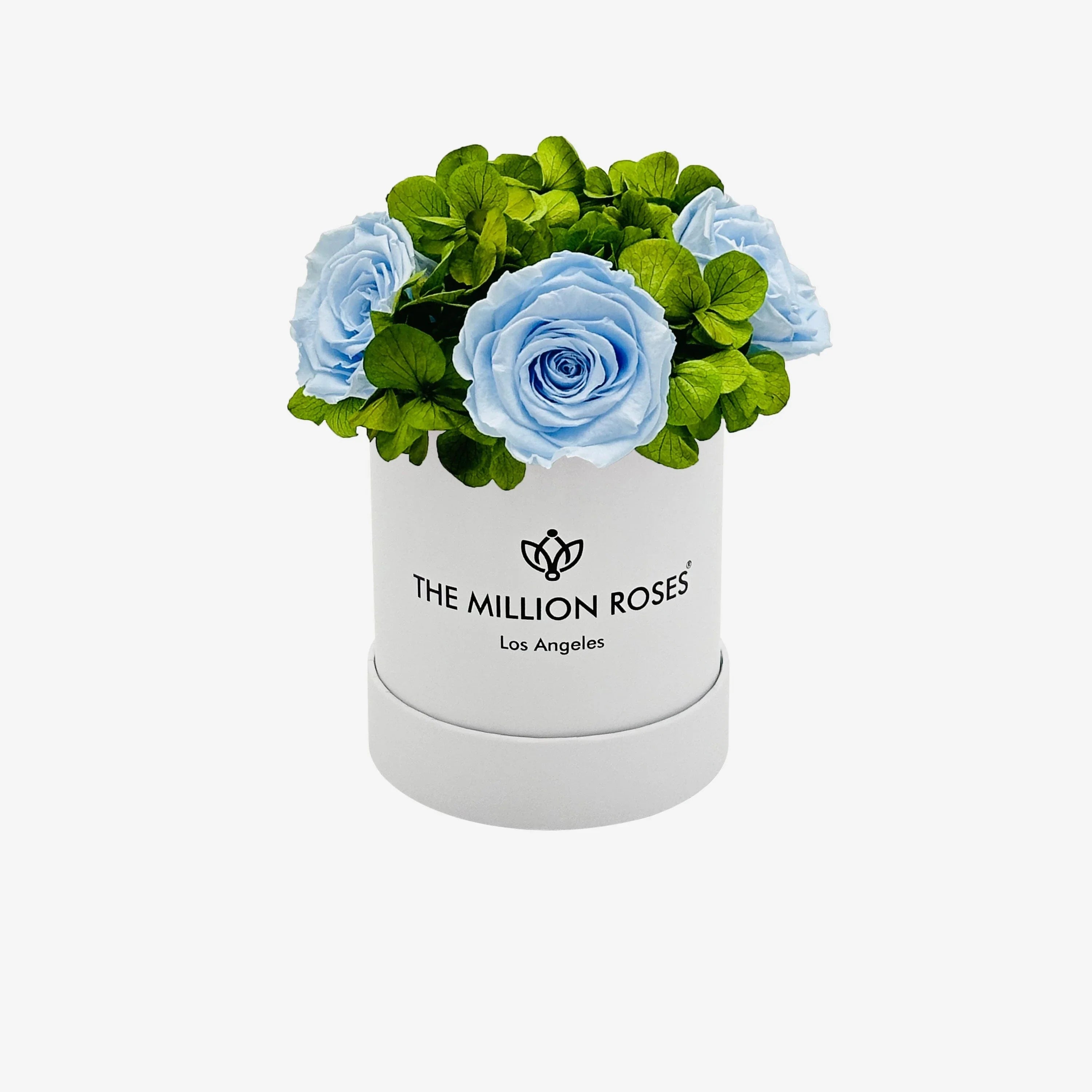 White garden box with light blue roses, ceramic planter - House of Avana