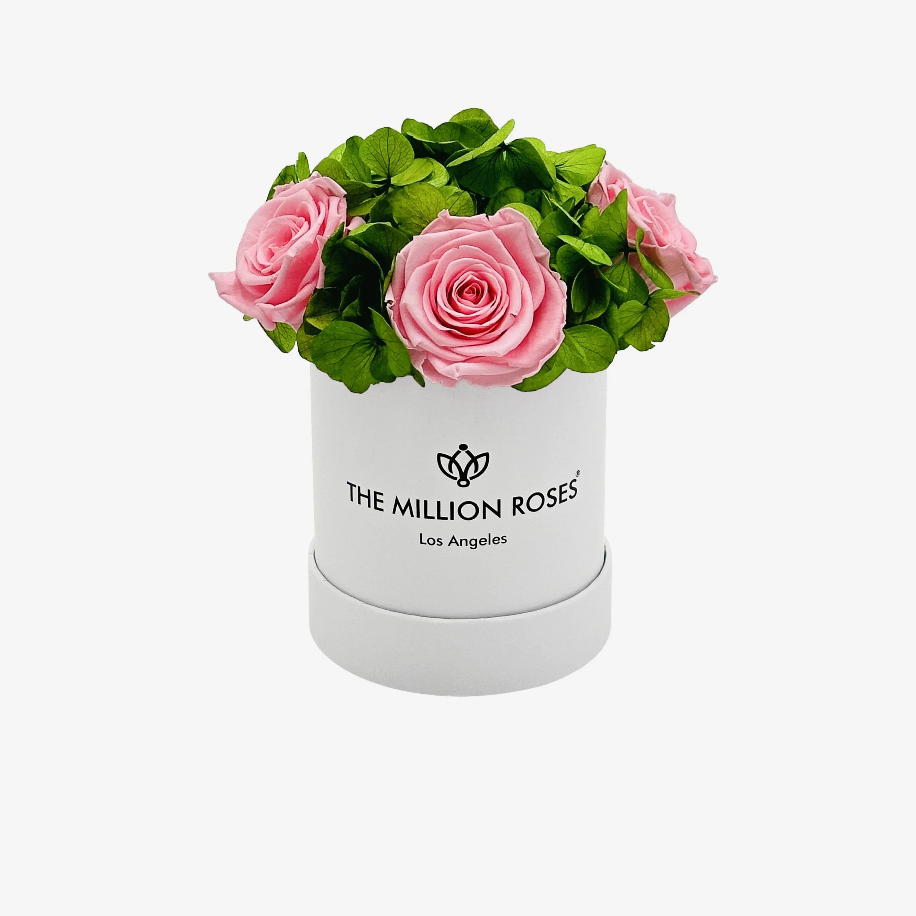 White garden box with light pink roses, ceramic planter - House of Avana