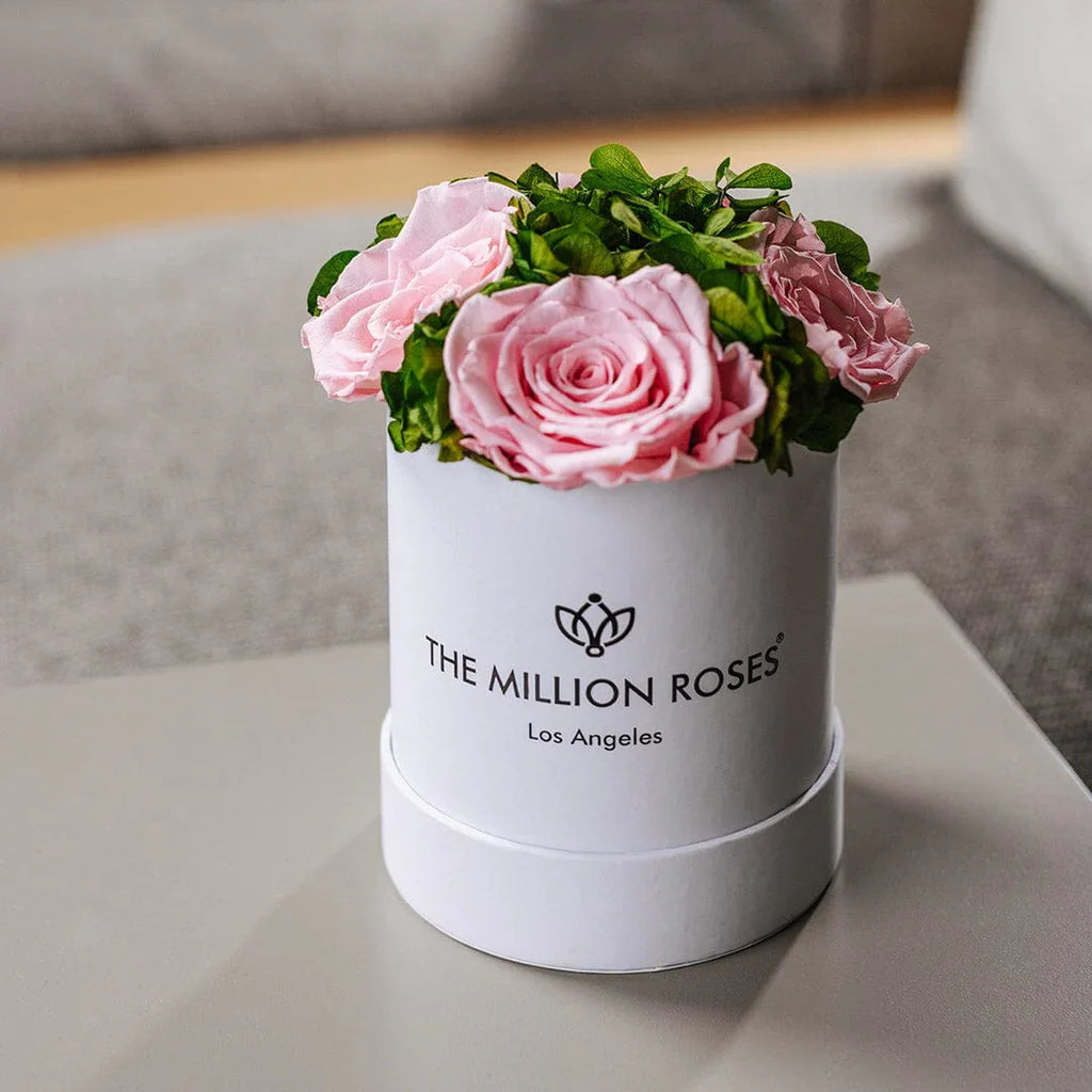 White garden box with light pink roses, ceramic planter - House of Avana