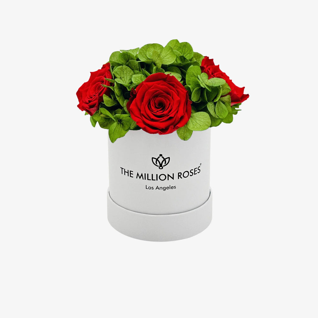White wooden garden box with red roses, elegant outdoor décor - House of Avana