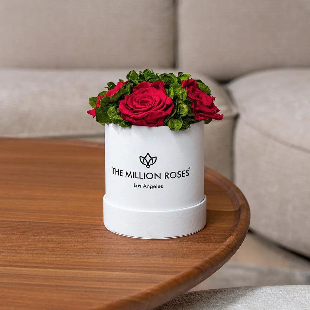 White wooden garden box with red roses, elegant outdoor décor - House of Avana