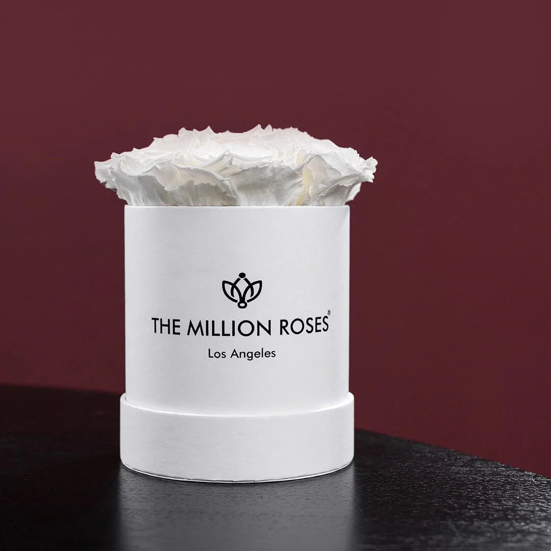 White ceramic box, filled with artificial white roses, elegant home décor - House of Avana