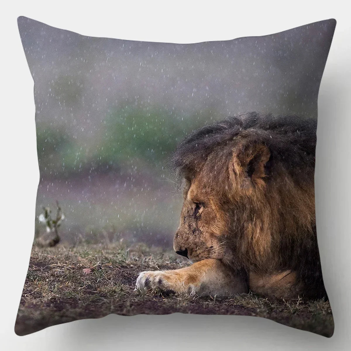 Wild animal print pillow case, soft cotton, lion and tiger design - House of Avana