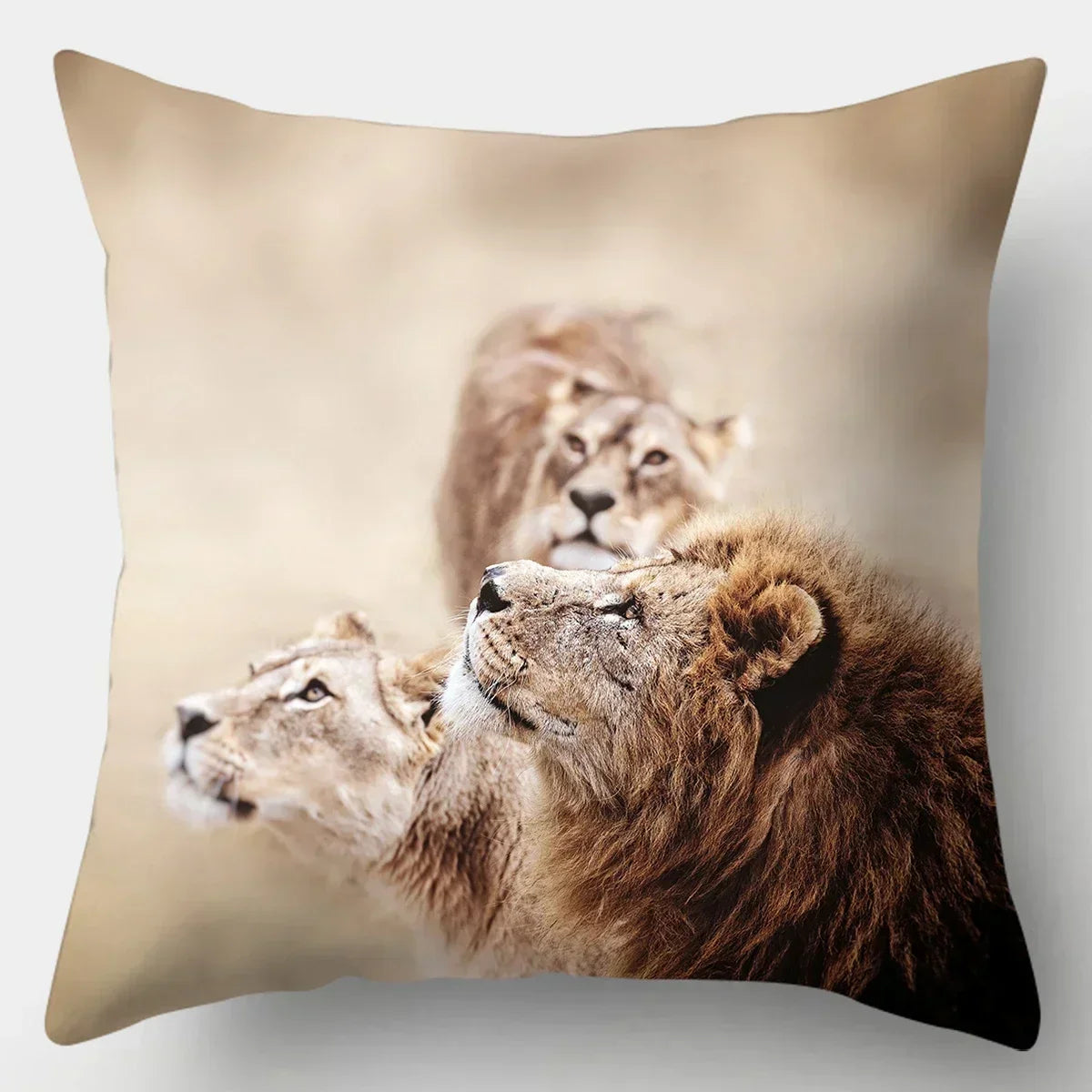 Wild animal print pillow case, soft cotton, lion and tiger design - House of Avana