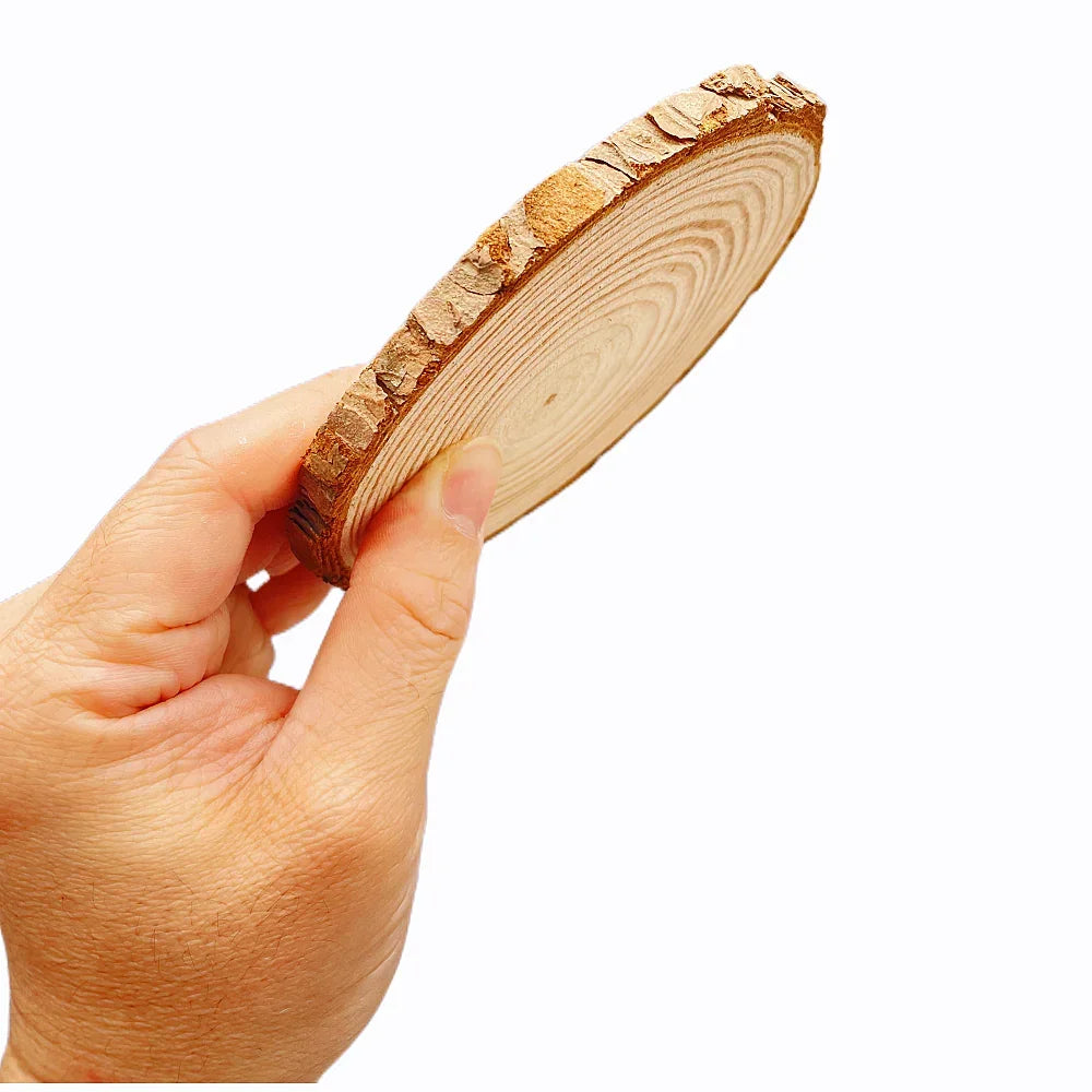 Wood Slices - Natural Pine Round