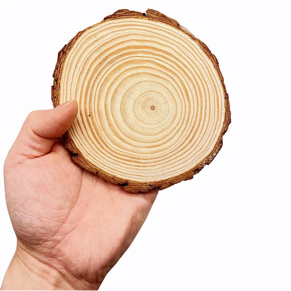 Wood Slices - Natural Pine Round