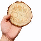 Wood Slices - Natural Pine Round