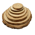 Wood Slices - Natural Pine Round