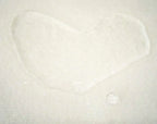 Wool Puddle Pad - Organic Cotton Futon Mattress Protector
