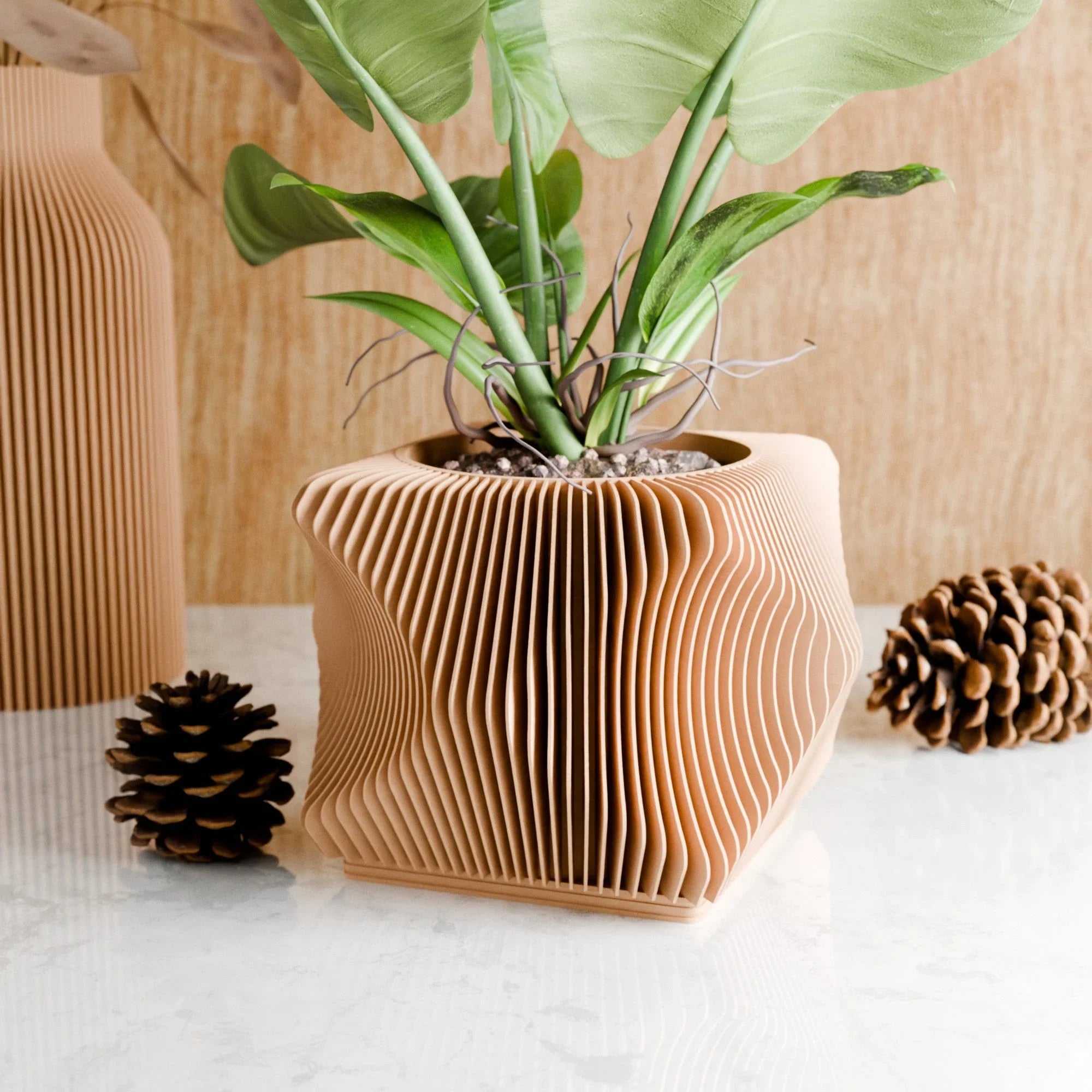 Xenova Planter Modernized Pottery