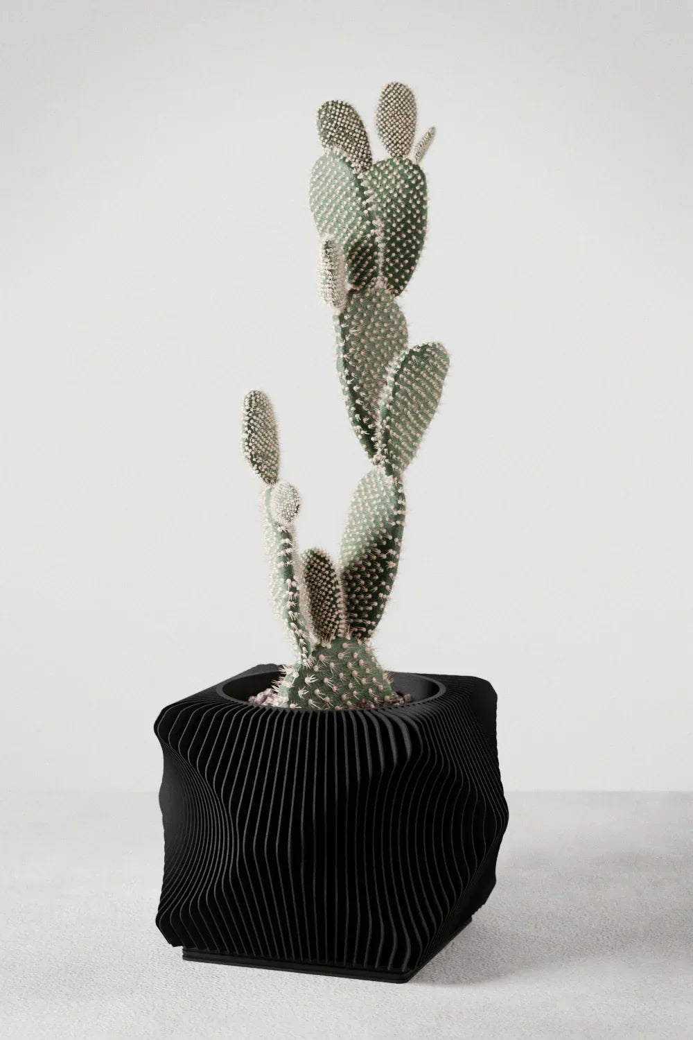 Xenova Planter, front view - House Of Avana