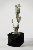 Xenova Planter, front view - House Of Avana