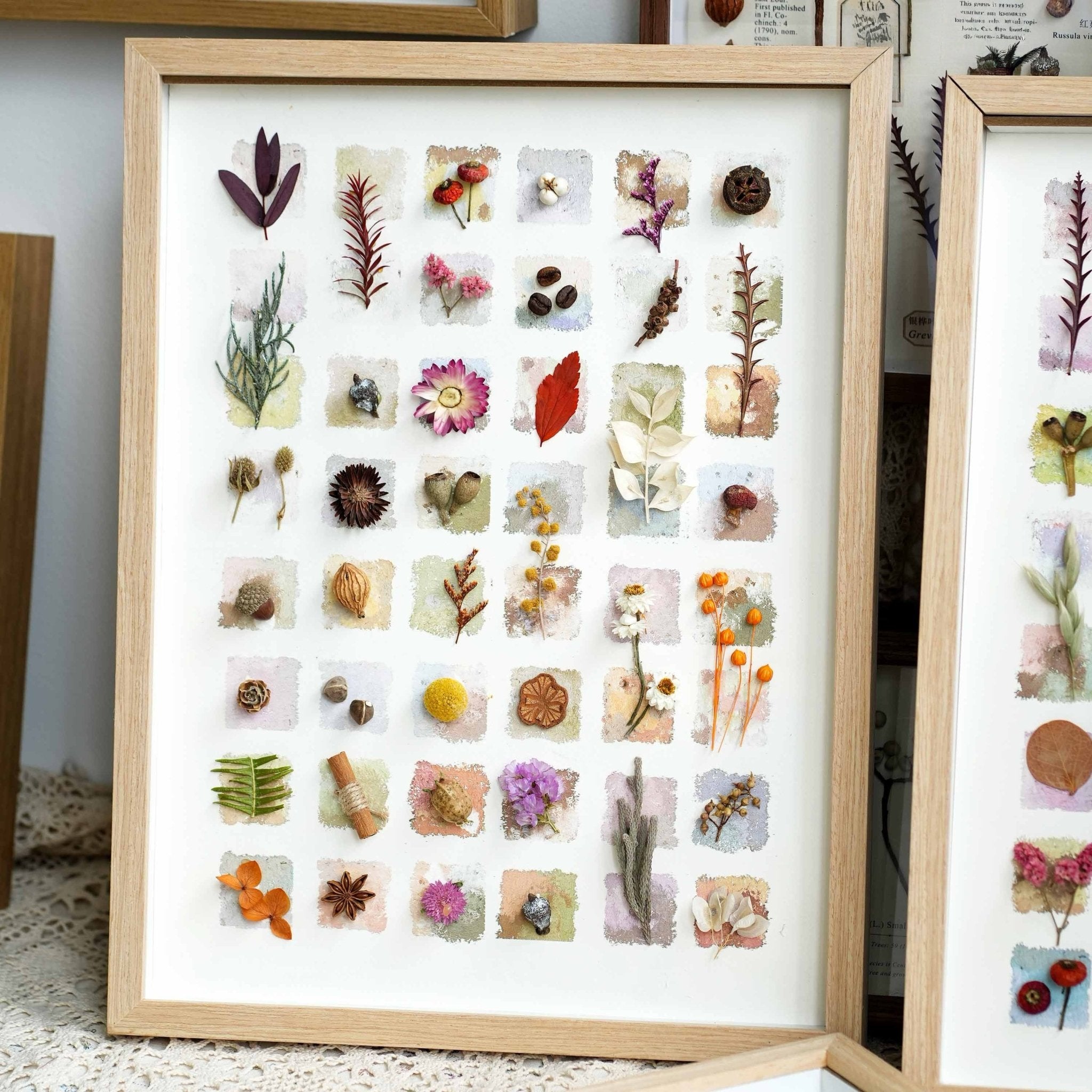 "The Grand Botanical Mosaic" Specimen Shadow Box