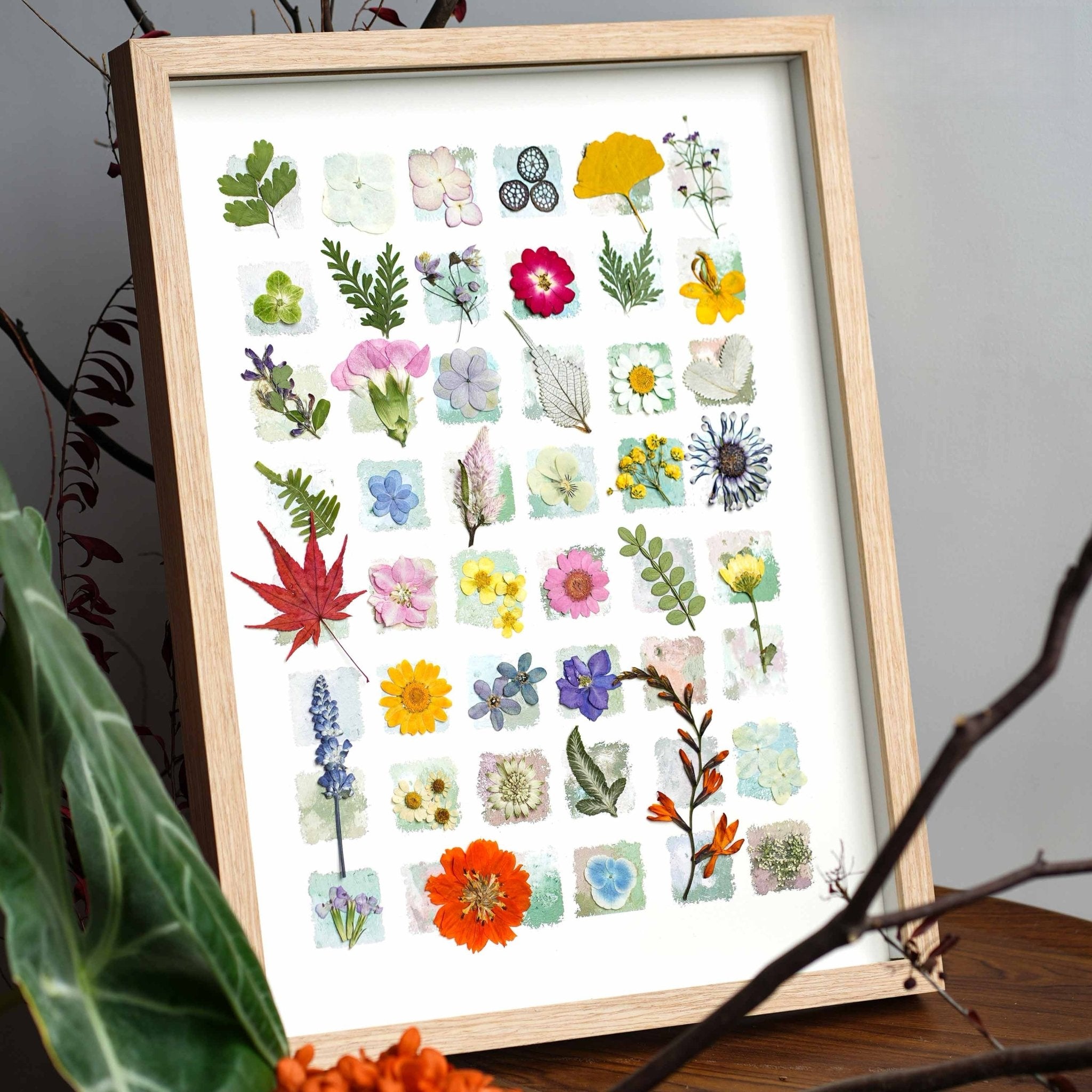"The Grand Botanical Mosaic" Specimen Shadow Box