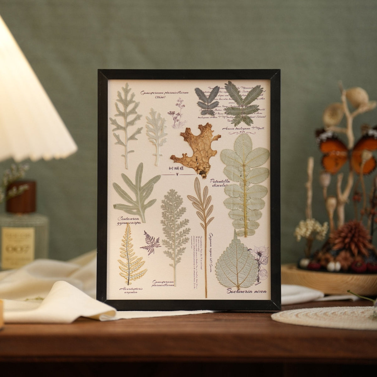 "The Botanist's Journal" Pressed Flower Art Frame