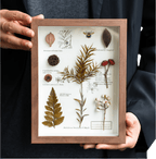 "The Botanist's Journal" Pressed Flower Art Frame