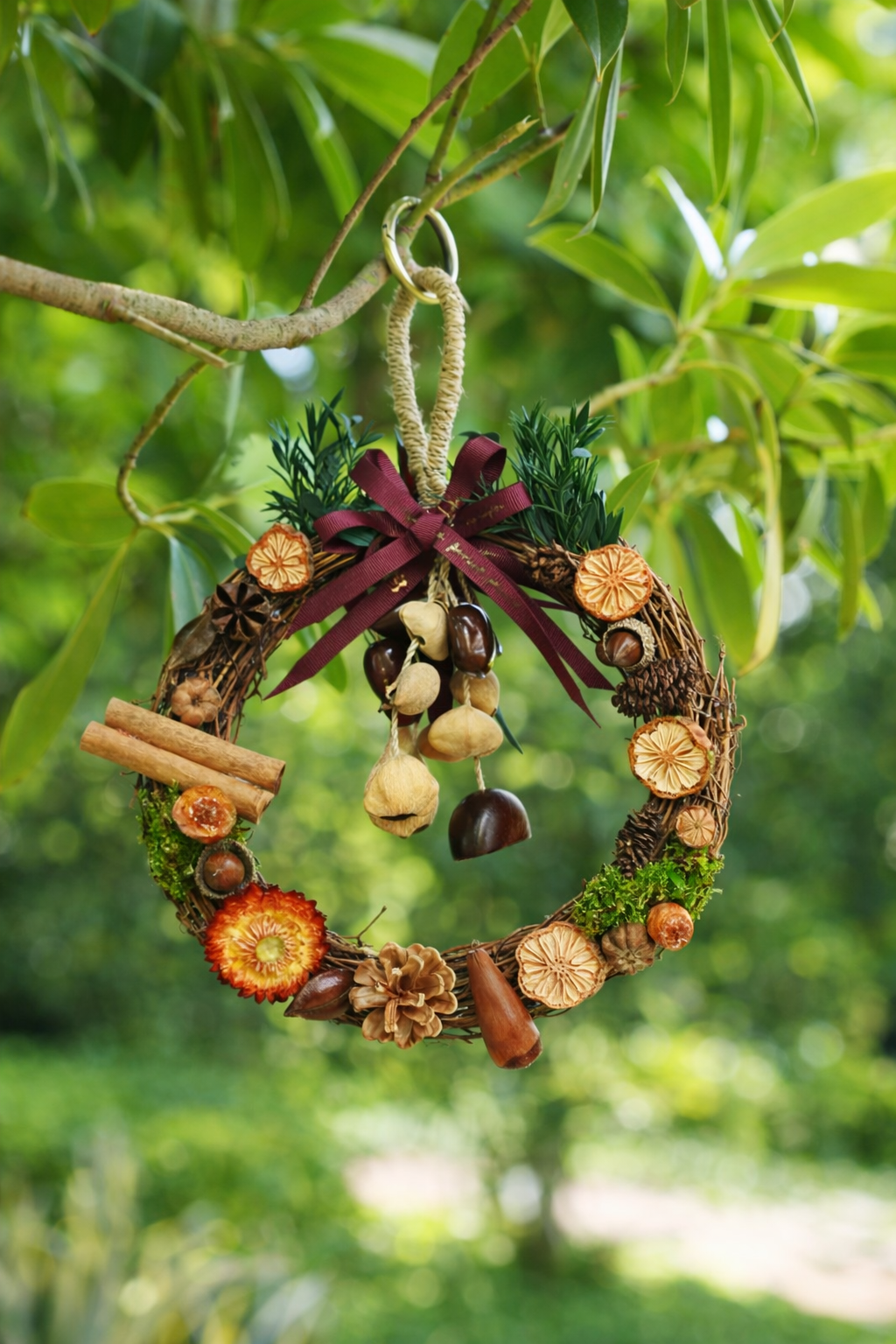 "Festive Forest Wreath" Vine Wreath