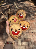 Hand-Painted Giant Entada Pod Ornament – World’s Largest Bean Wall Decor