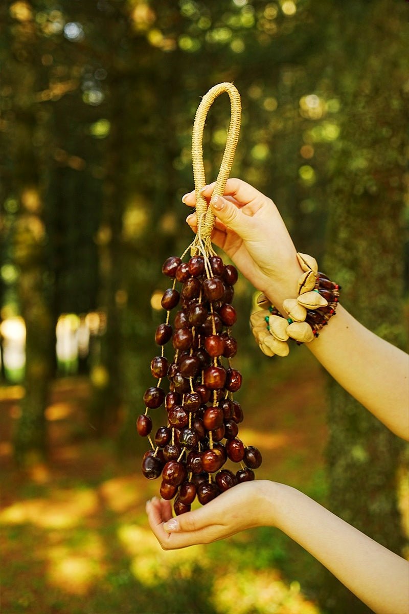 Handmade Pala Seed Seed Shaker | Hand Bell