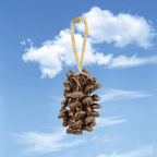 Juju Duckfoot Vine Seed Shaker | Hand Bell