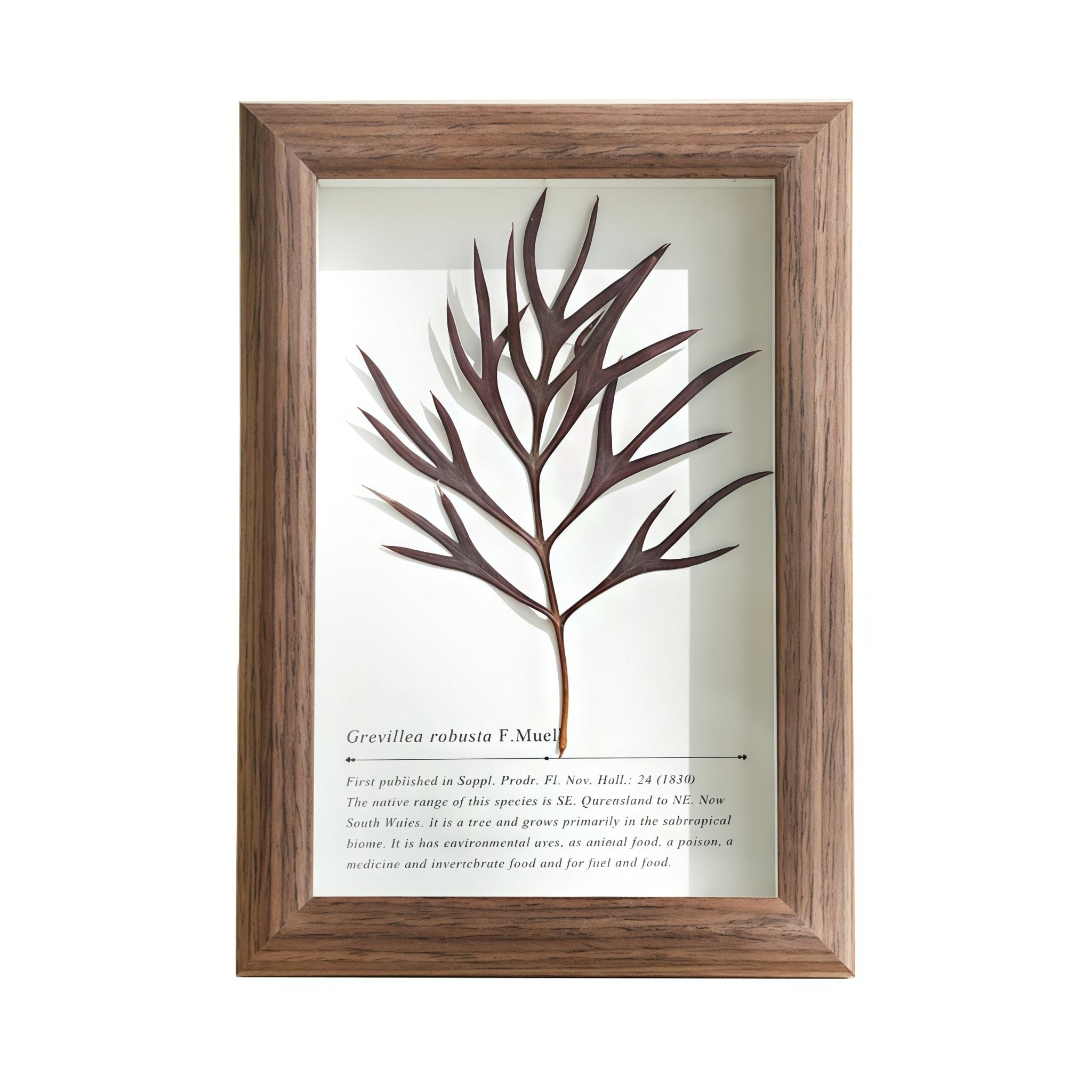 "The Landscape Garden"  Real Flower Shadow Box