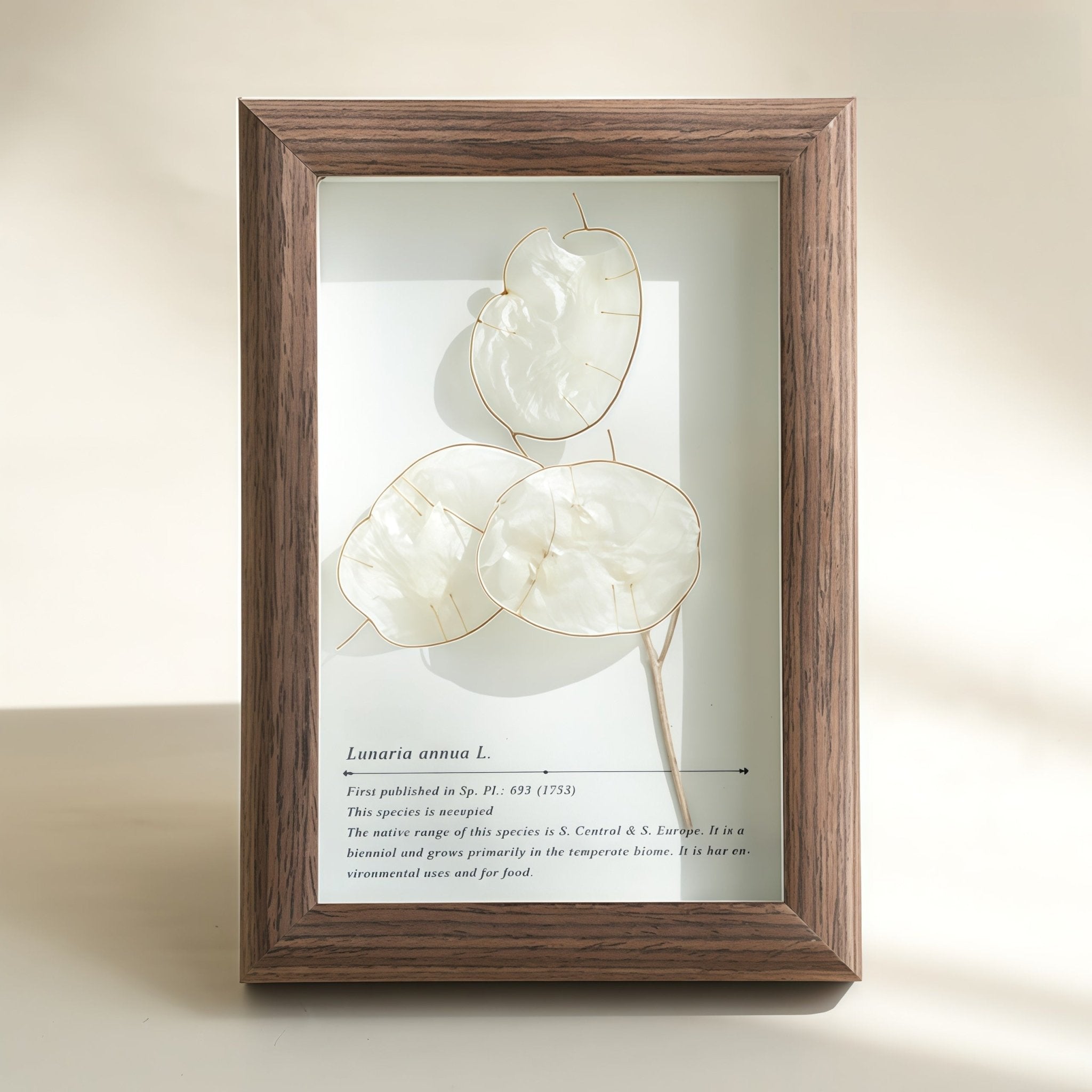 "The Landscape Garden"  Real Flower Shadow Box