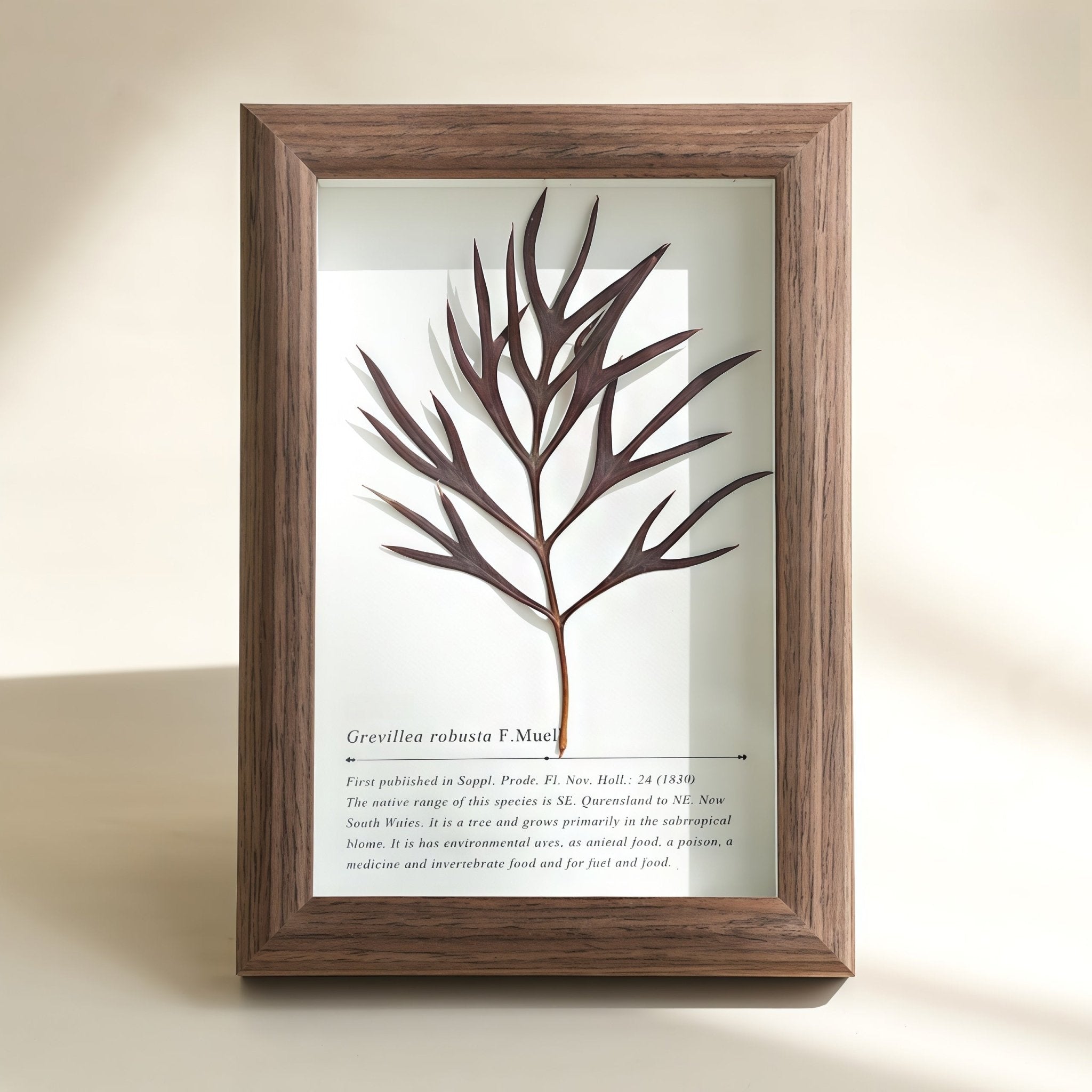 "The Landscape Garden"  Real Flower Shadow Box