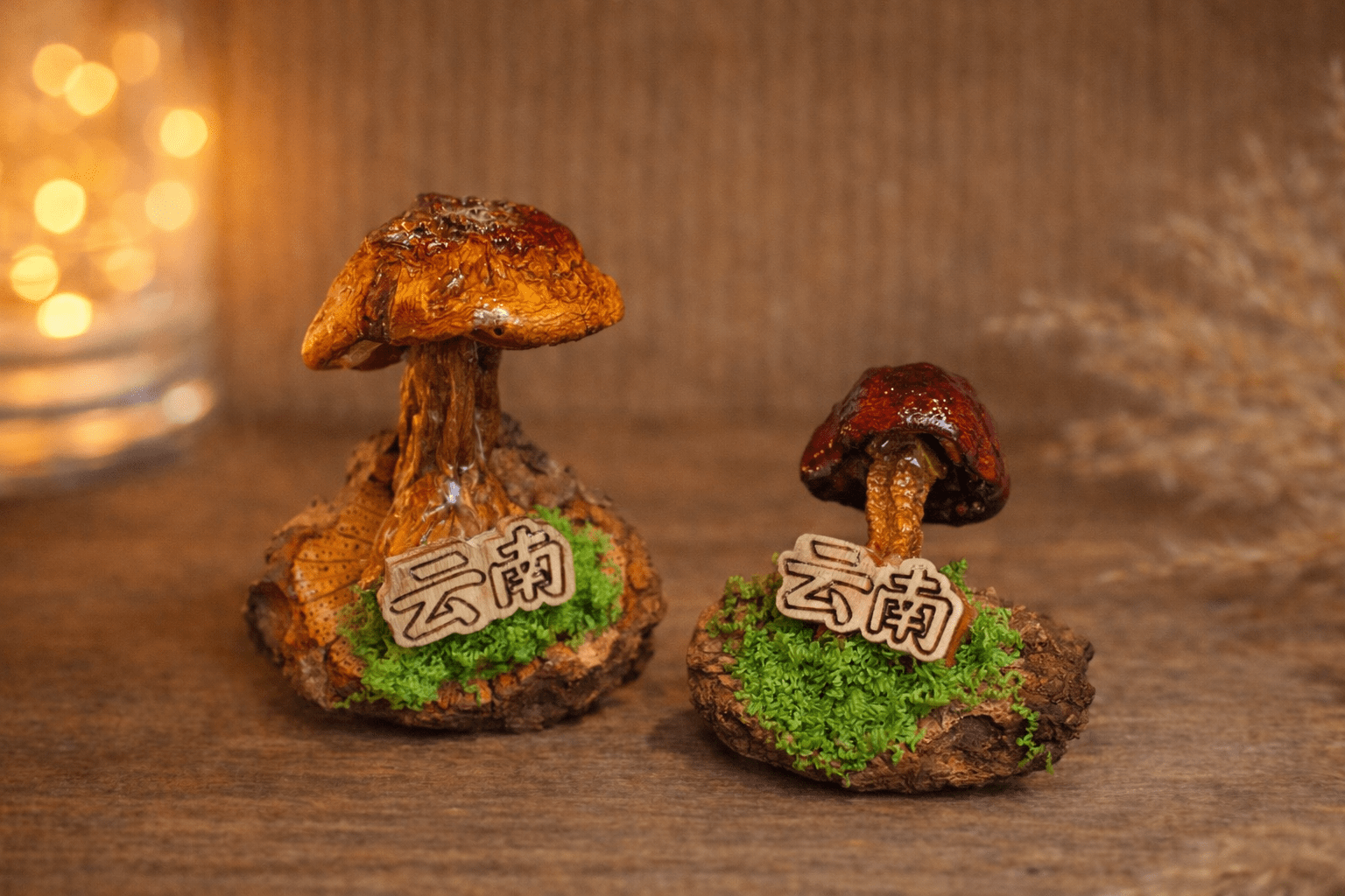 Handcrafted Real-Mushroom Fridge Magnets