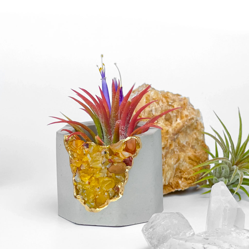Yellow Agate Geode Planter with Natural Stone Layers, close-up view - House Of Avana