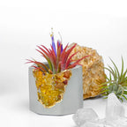 Yellow Agate Geode Planter with Natural Stone Layers, close-up view - House Of Avana