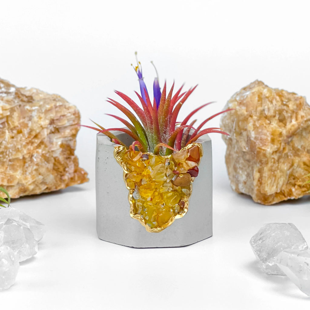 Yellow Agate Geode Planter with Natural Stone Layers, angled view - House Of Avana