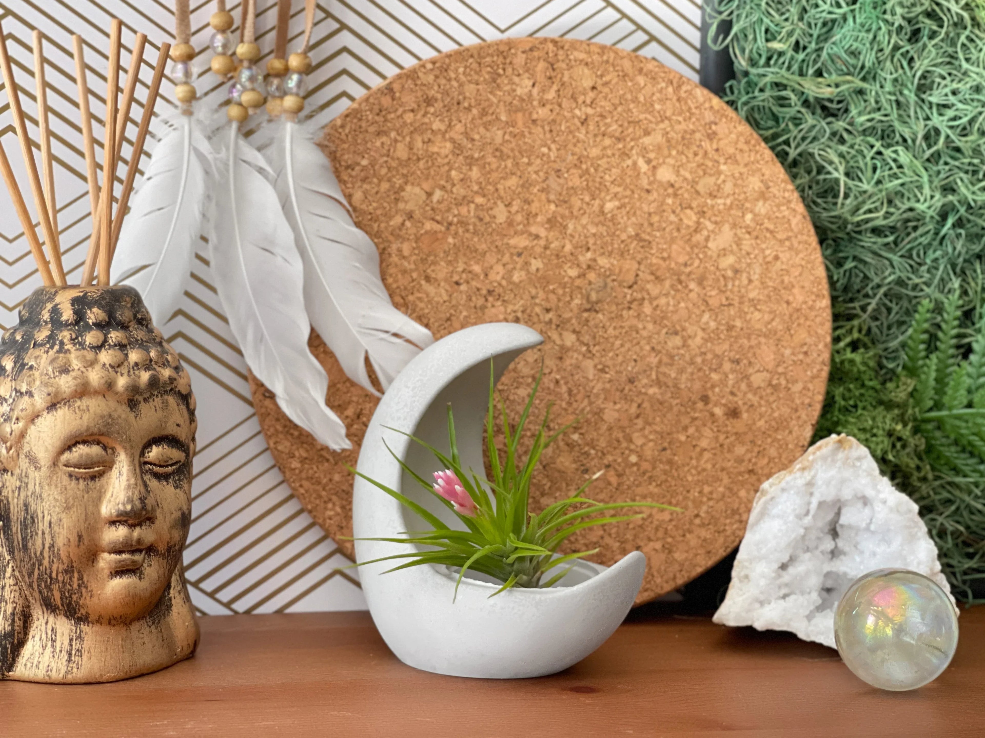 YOUNG MOON AIR PLANT HOLDER AURA 8 HOME