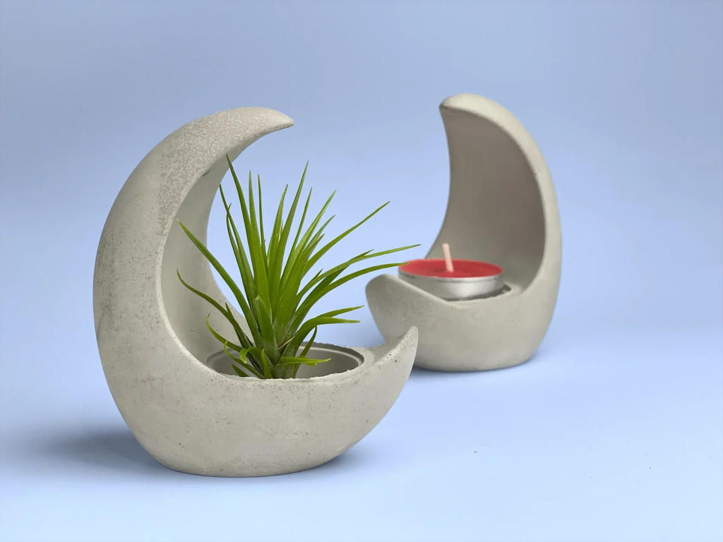 Glass Air Plant Holder with Moon Shape Design, back view - House Of Avana
