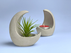 Glass Air Plant Holder with Moon Shape Design, back view - House Of Avana