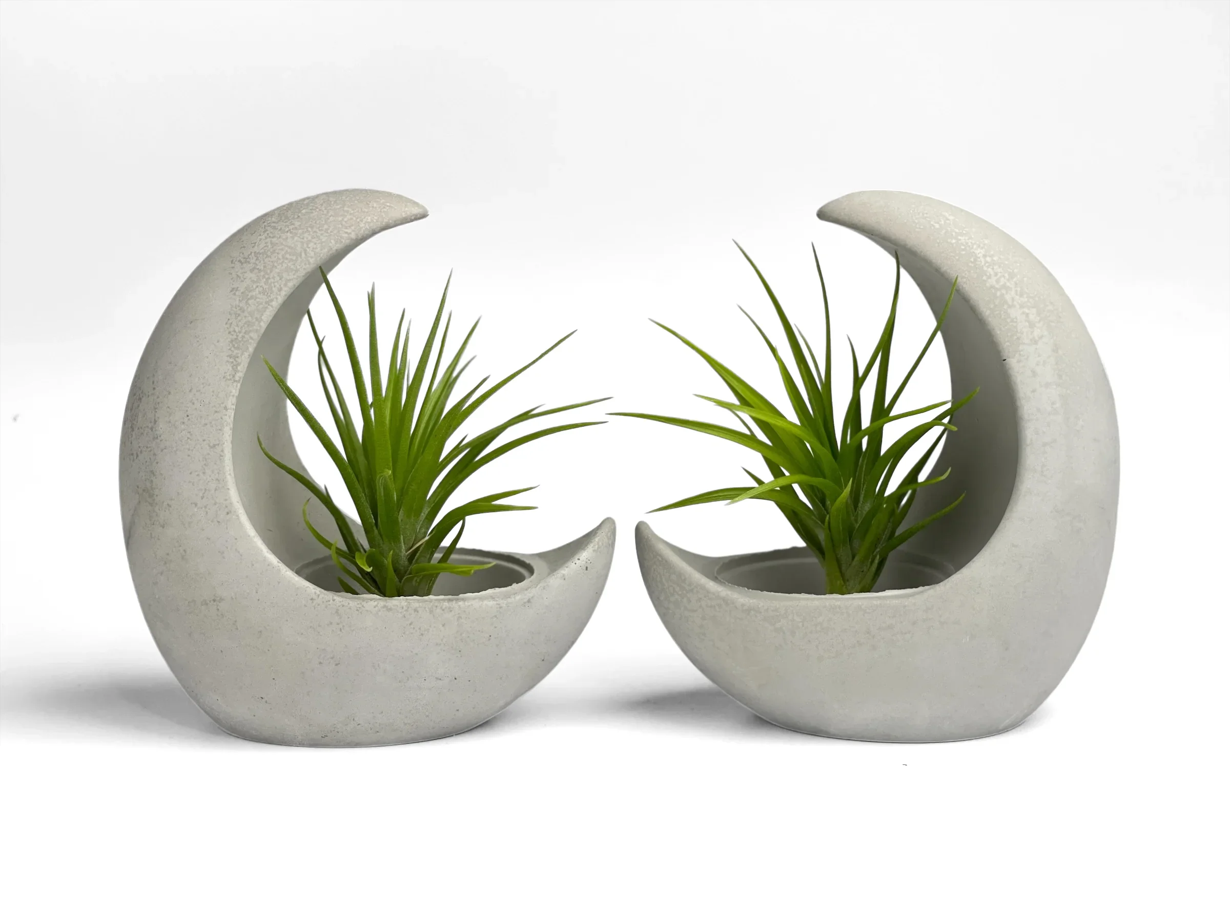 Glass Air Plant Holder with Moon Shape Design, top view - House Of Avana