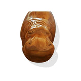 Mighty Hippo Monoxylous Hand Carved West African Seat Furniture for Living Room L90cm x W40cm x H45cm! - African Furniture for Living Room - Face Closeup 